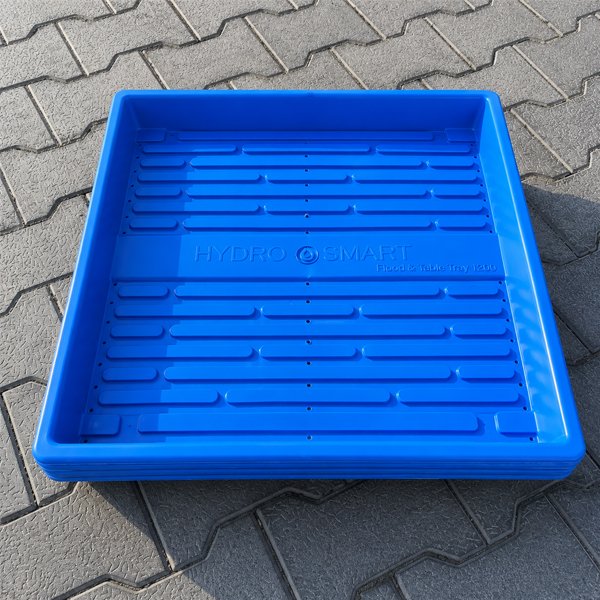tray